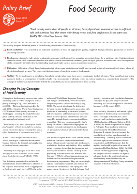 pdf_Food_Security_Cocept_Note.pdf